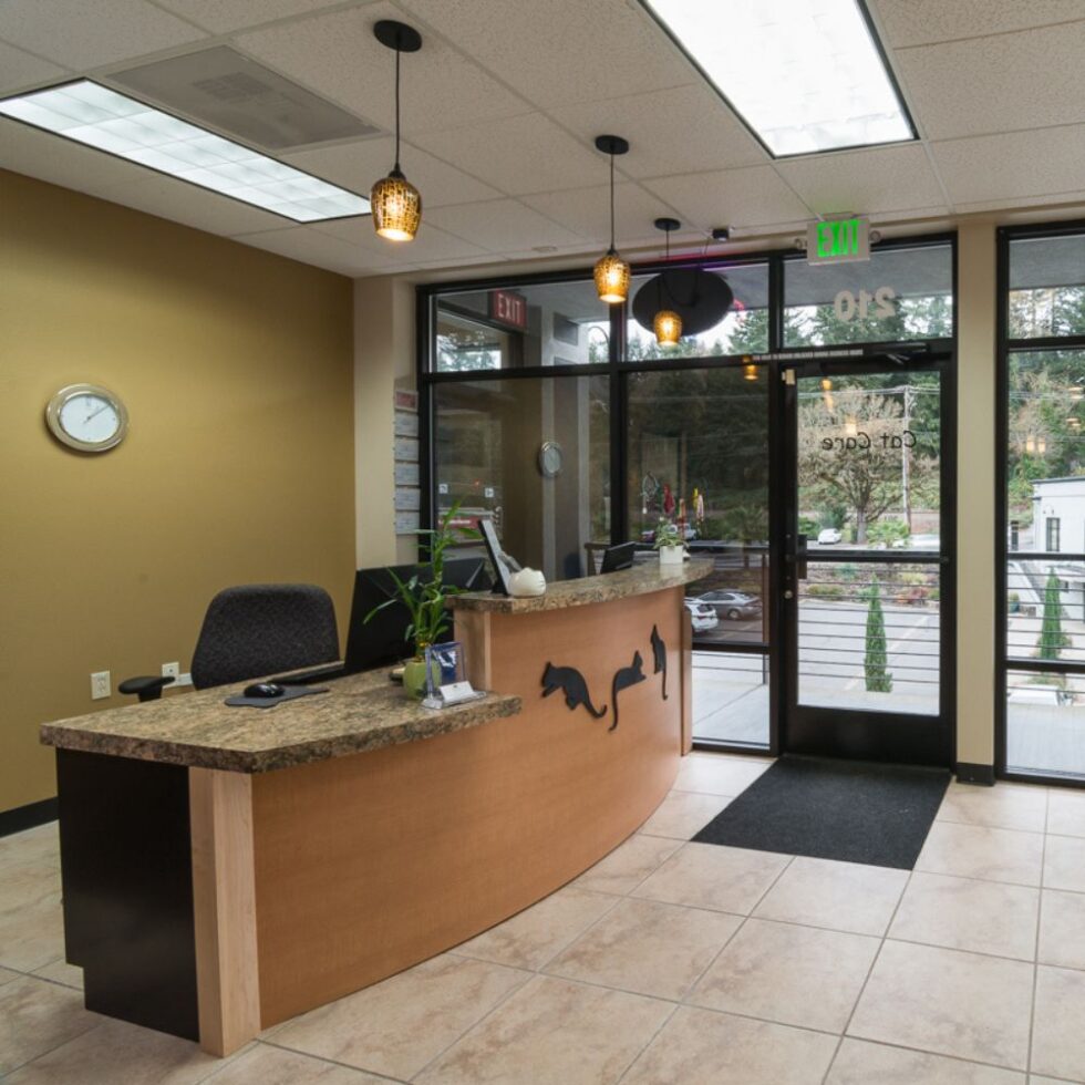 Best Veterinary Hospital In Lake Oswego, OR Cat Care Professionals