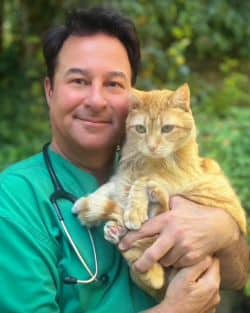 Dr. Brad Krohn